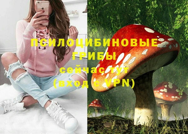 эйфоретик Надым