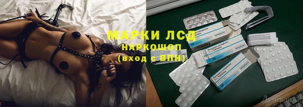 трава Наволоки