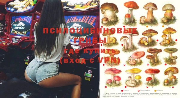 трава Наволоки