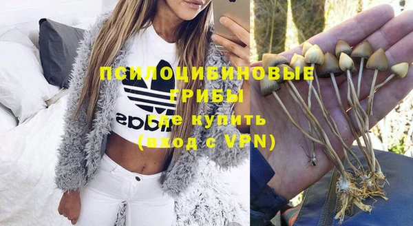 МДПВ Нефтекумск