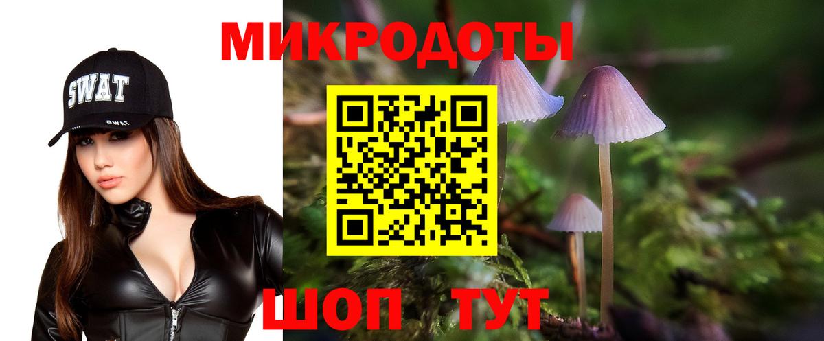 Галлюциногенные грибы прущие грибы Тихорецк